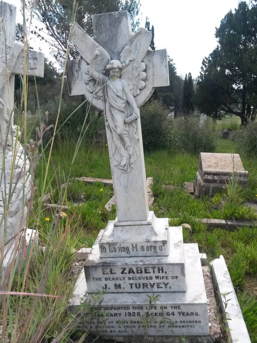 TURVEY Elizabeth 1864-1928