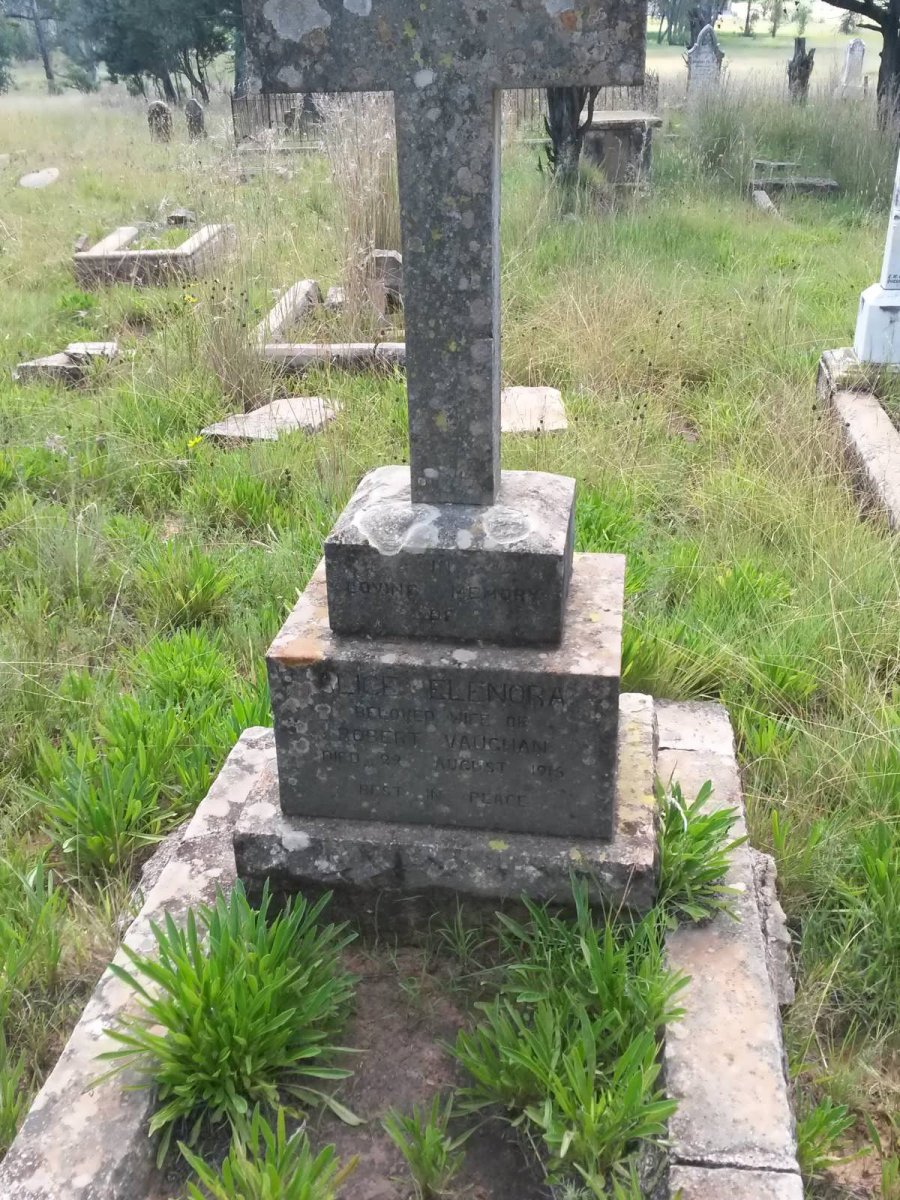VAUGHAN Alice Elenora nee WILLIAMS 1861-1915
