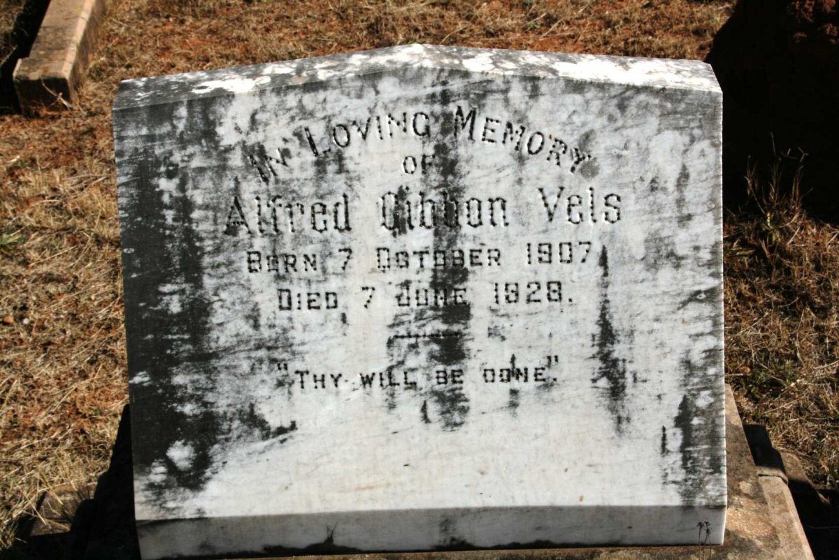 VELS Alfred Gibbon 1907-1928