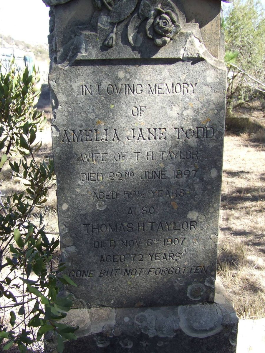 TAYLOR Thomas H. -1907 &amp;  Amelia Jane TODD -1897
