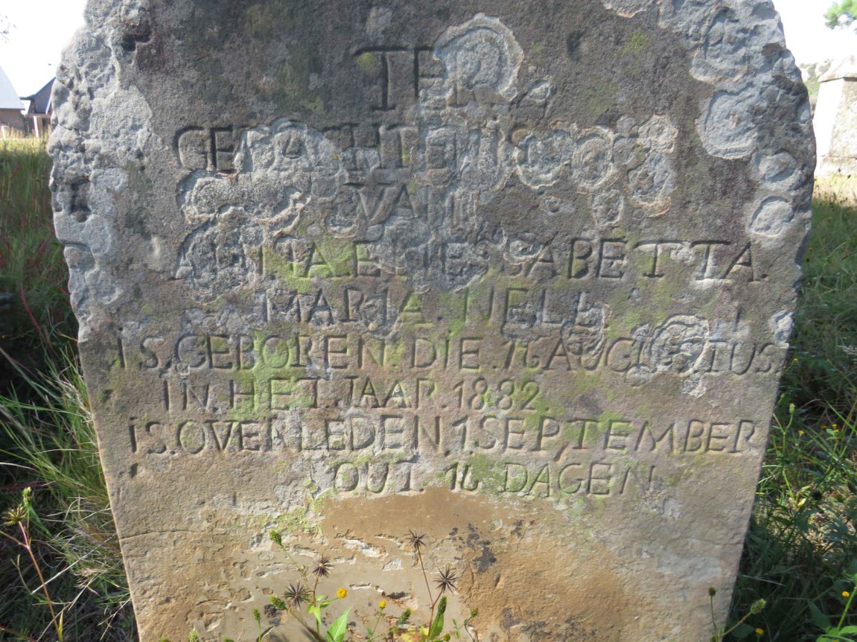 NELL Anita Eliessabetta Maria 1882-1882