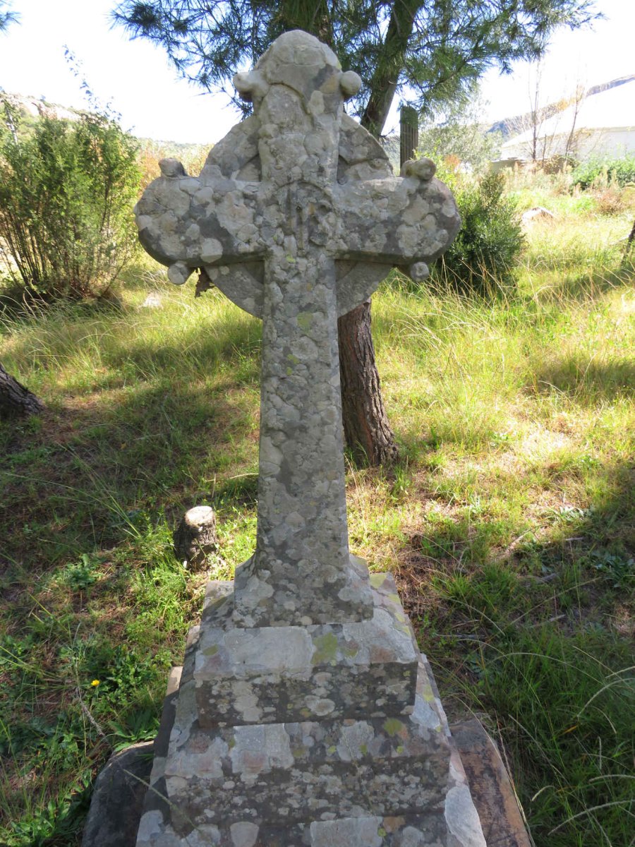 ? Elizabeth -1903