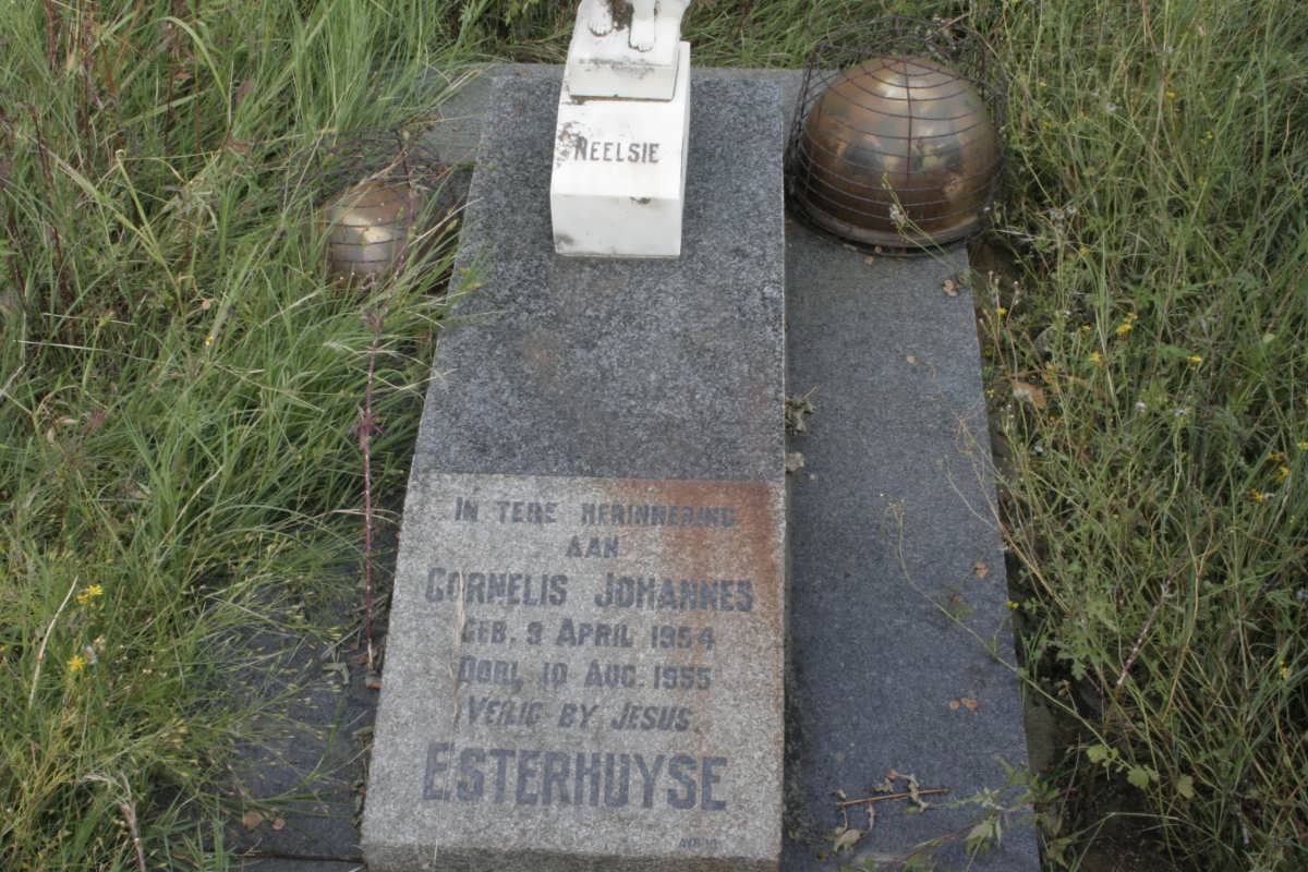 ESTERHUYSE Cornelis Johannes 1954-1955
