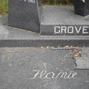 GROVé Flanie 1983