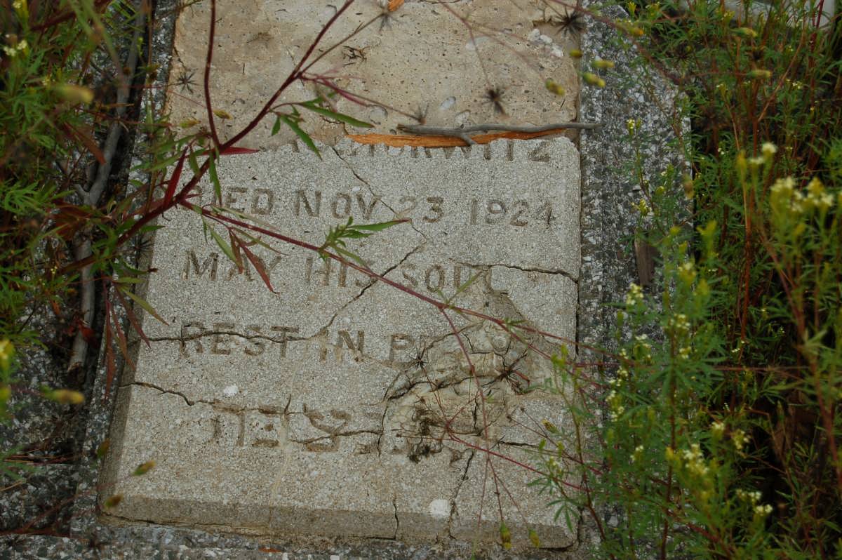HURWITZ -1924