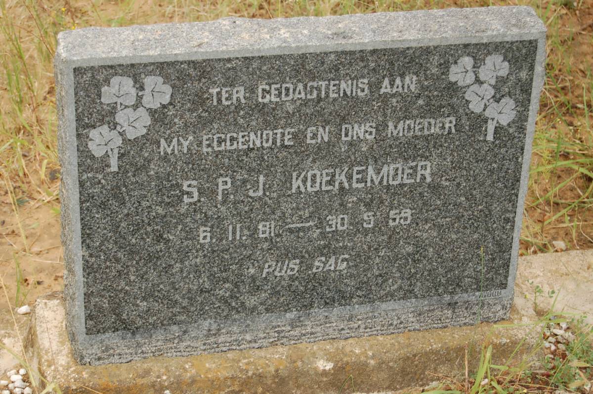 KOEKEMOER S.P.J. 1881-1959