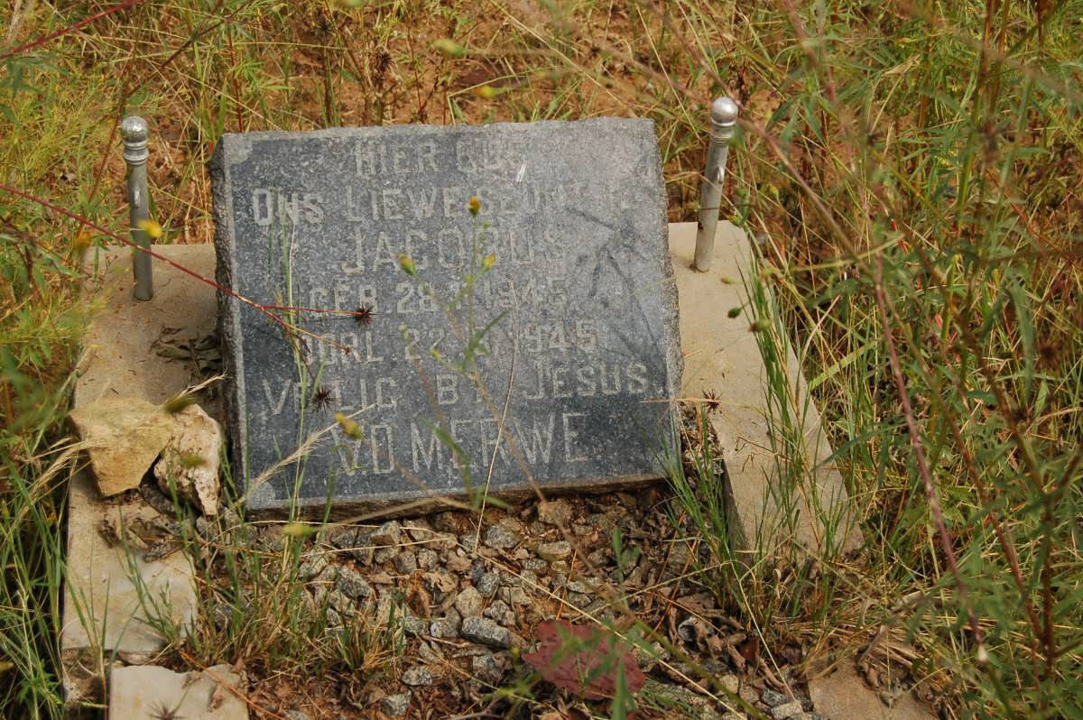 MERWE Jacobus, v.d. 1945-1945