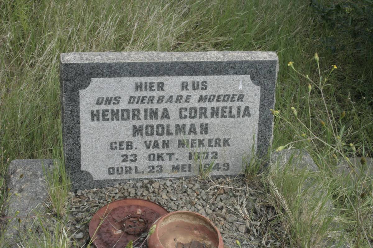 MOOLMAN Hendrina Cornelia nee VAN NIEKERK 1872-1949
