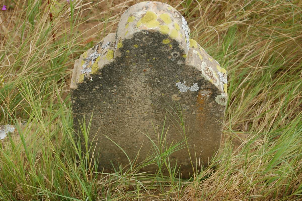 MIENIE Dewald Jacobus