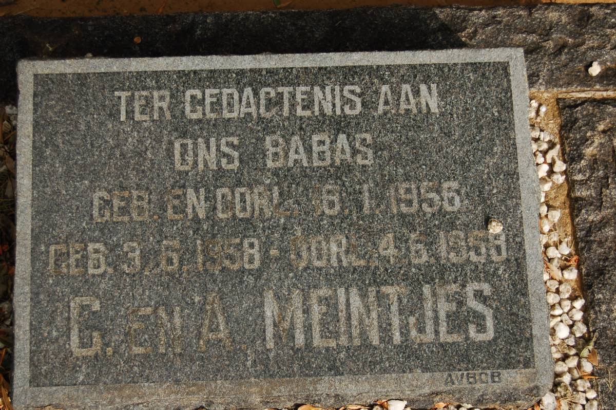 MEINTJES 1956-1956 :: MEINTJES 1958-1958