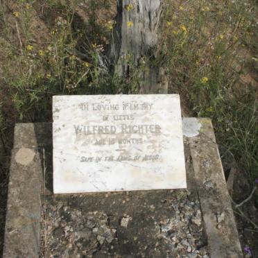 RICHTER Wilfred 