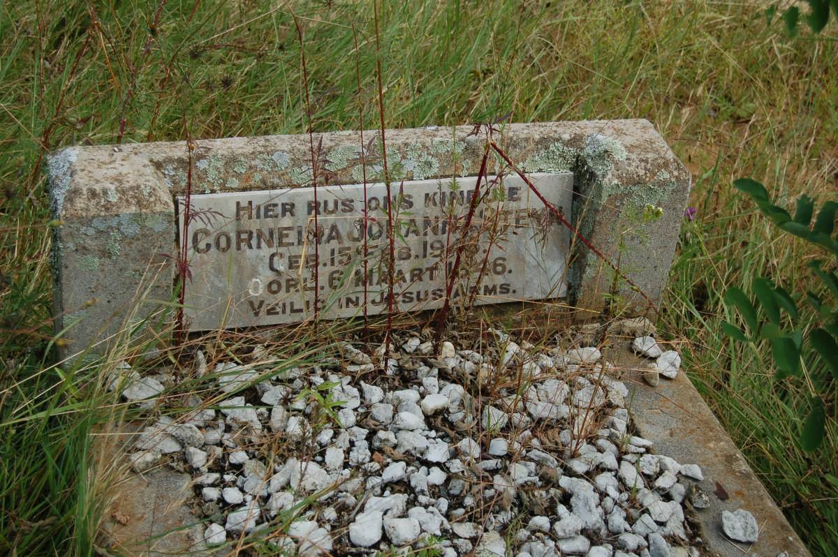 STEYN Cornelia Johanna 1946-1946