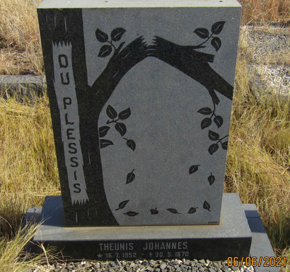 PLESSIS Theunis Johannes, du 1952-1970