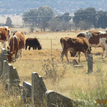 Free State, MARQUARD, Urban area