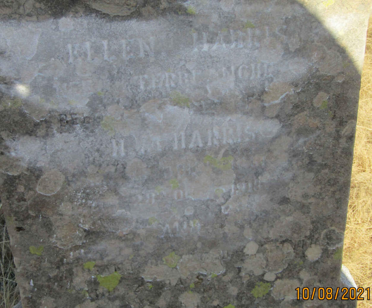 HARRIS Ellen nee TERBLANCHE -1918