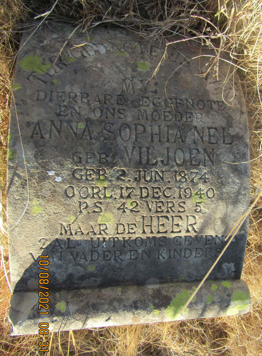 NEL Anna Sophia nee VILJOEN 1874-1940