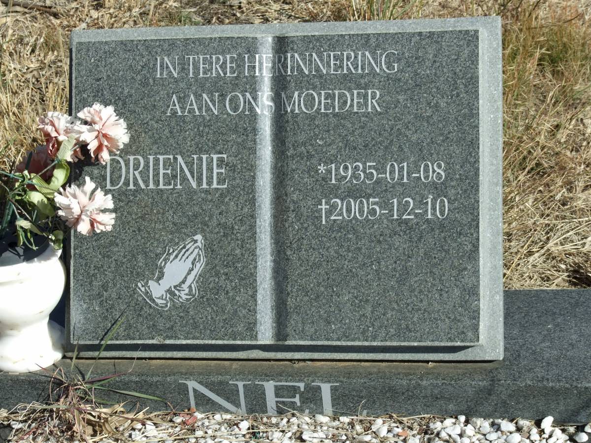 NEL Drienie 1935-2005