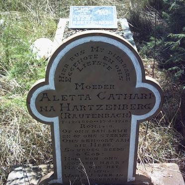Free State, PARYS district, Turffontein 131, farm cemetery