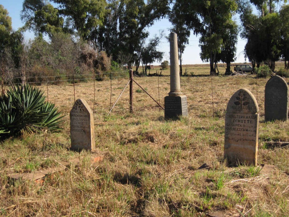 3. Overview