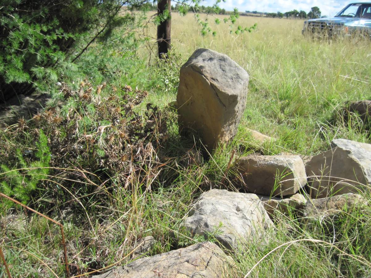 ? Unmarked Grave