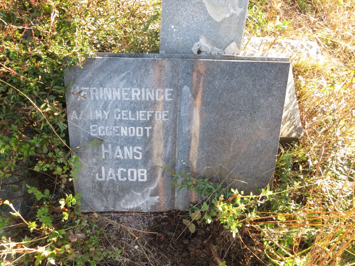 ? Hans Jacob