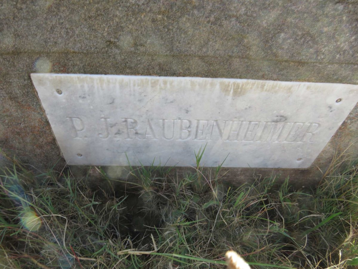 RAUBENHEIMER P.J.