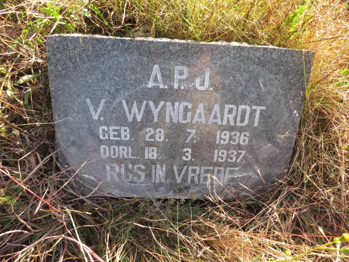 WYNGAARDT A.P.J., van 1936-1937