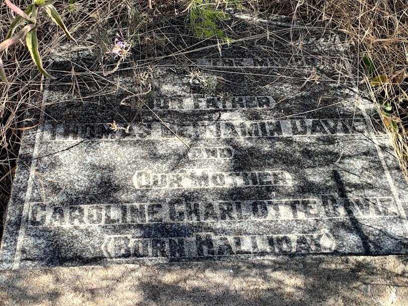 DAVIE Thomas Benjamin &amp; Caroline Charlotte HALLIDAY