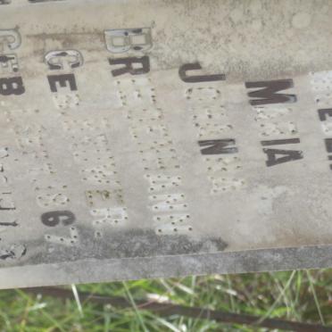 BRIEDENHANN Coenraad Johannes Jacob 18?3-1939 &amp; Maria Johanna BRUWER 1867-1948