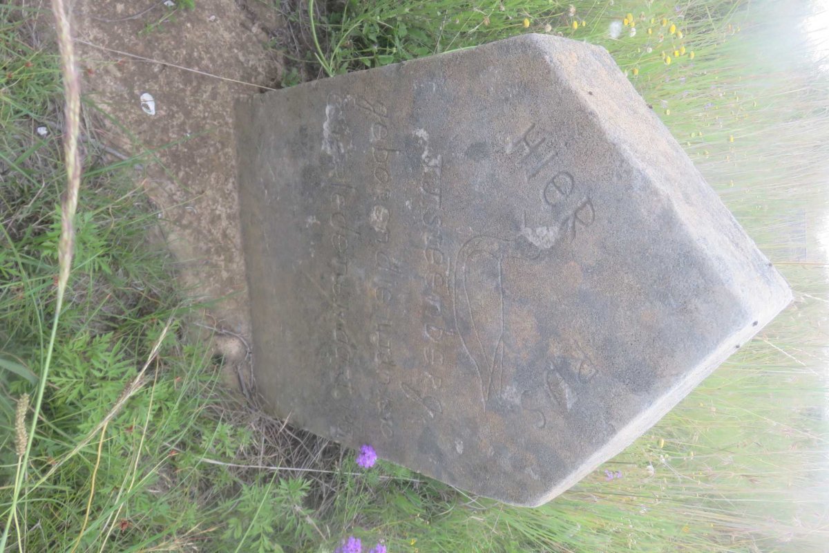 STEENBERG J.J. 1850-1934