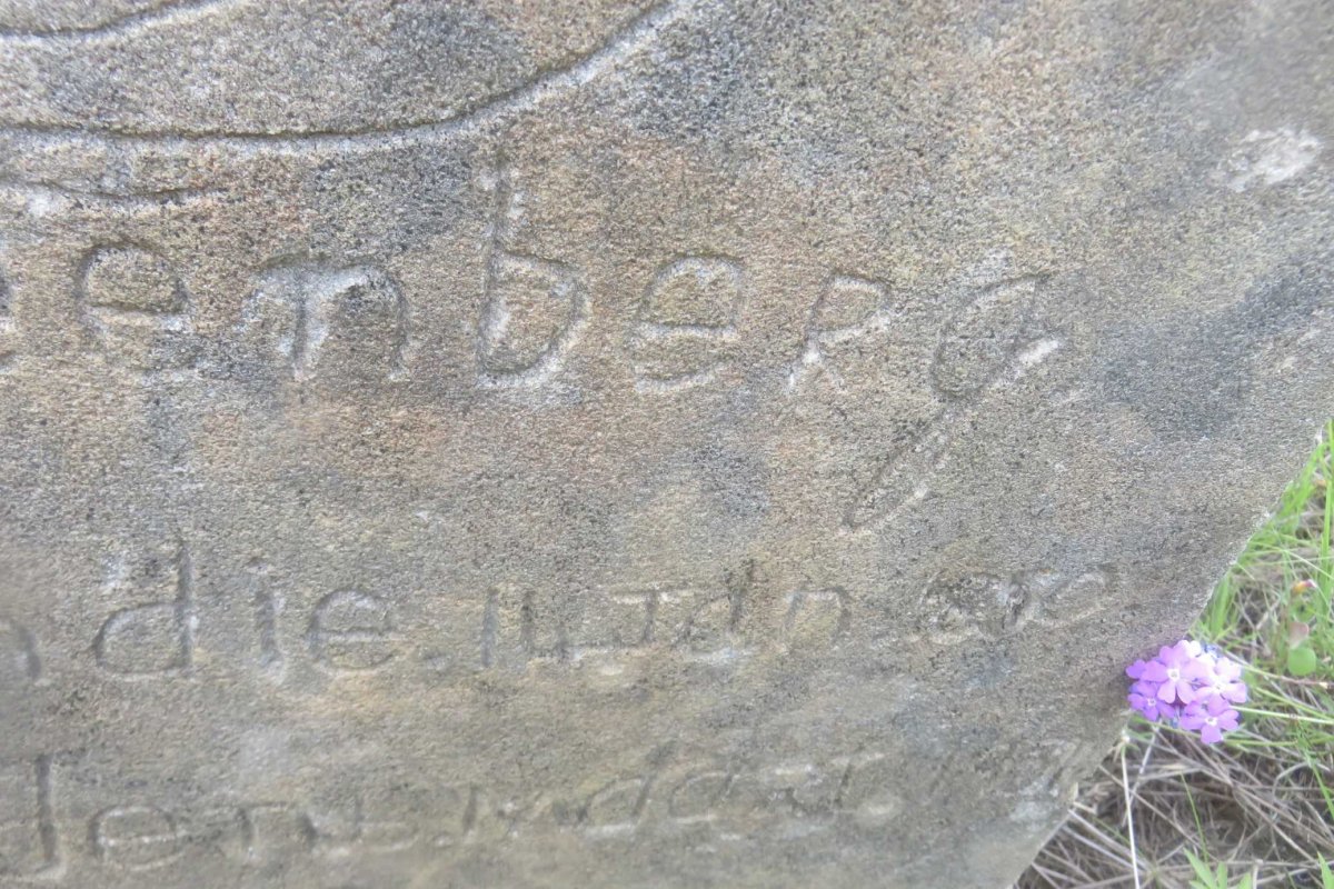 STEENBERG J.J. 1850-1934