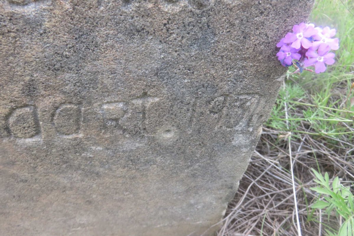 STEENBERG J.J. 1850-1934