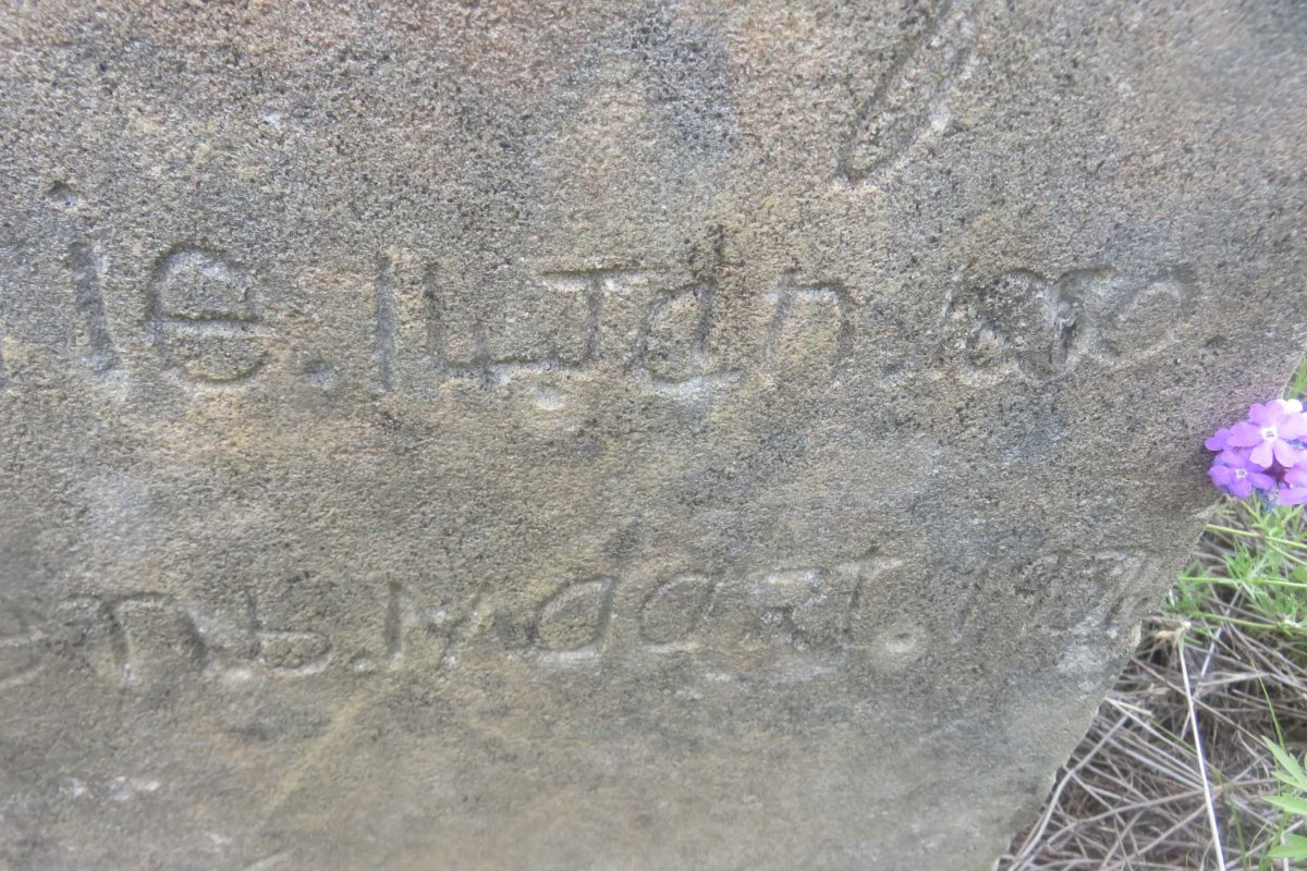 STEENBERG J.J. 1850-1934