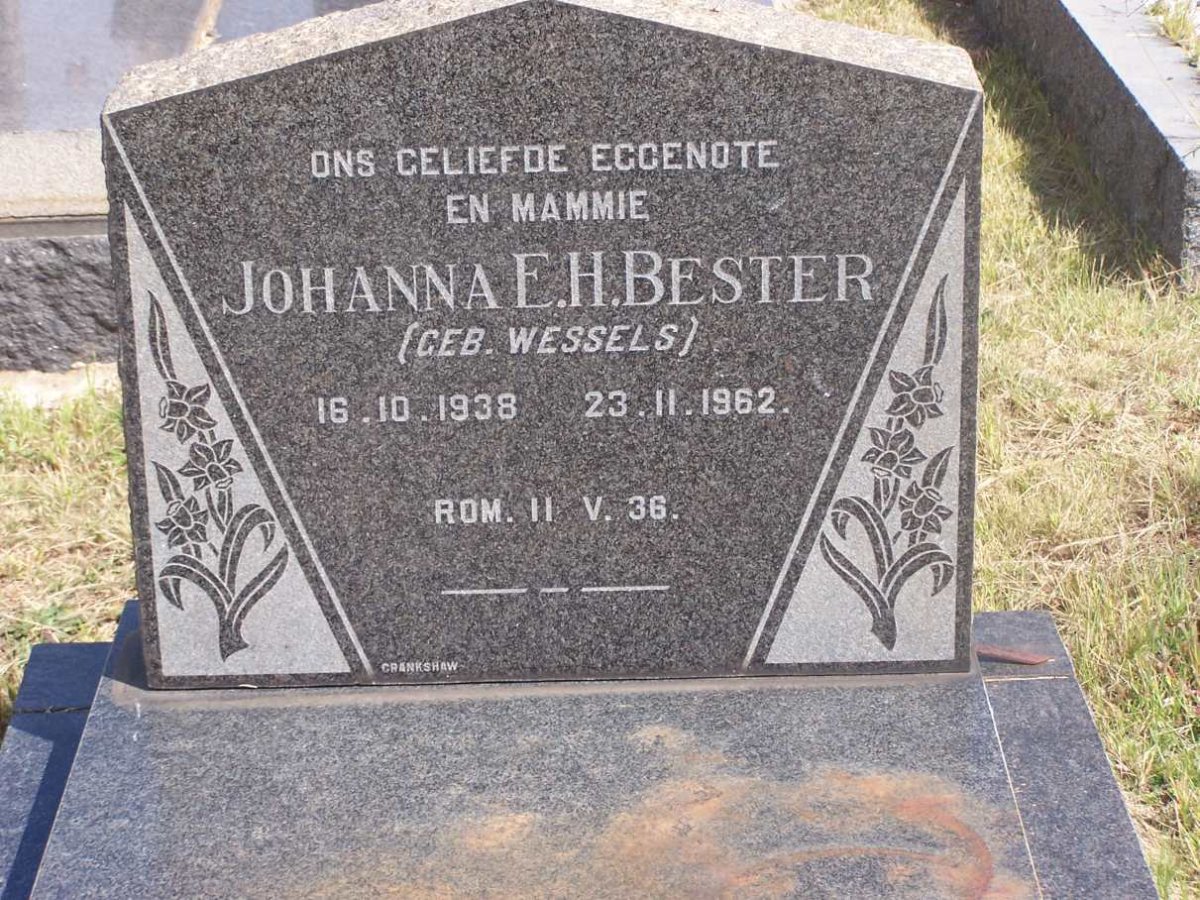 BESTER Johanna E.H. nee WESSELS 1938-1962