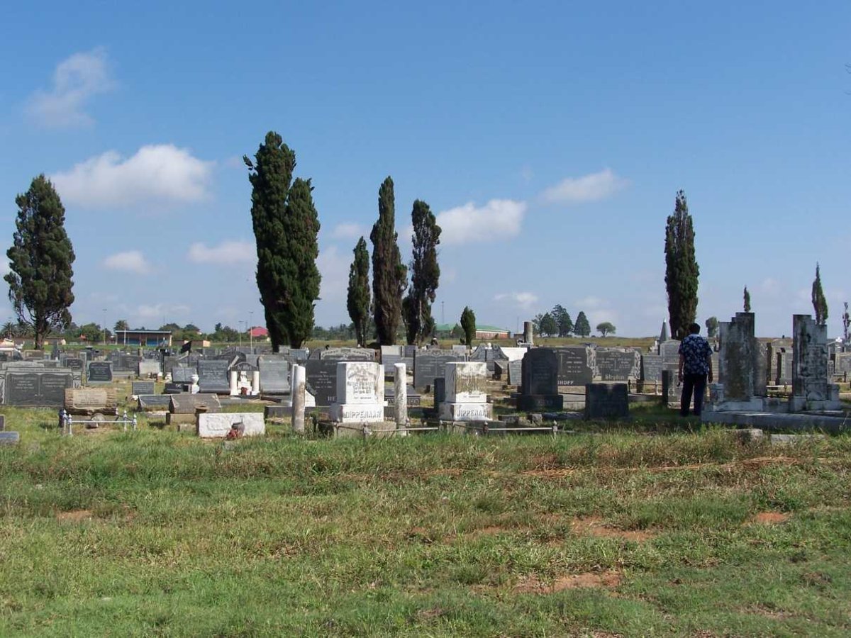 3. Overview