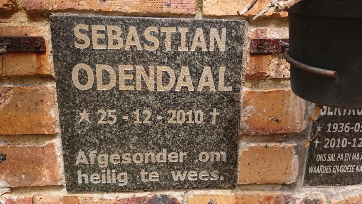 ODENDAAL Sebastian 2010-