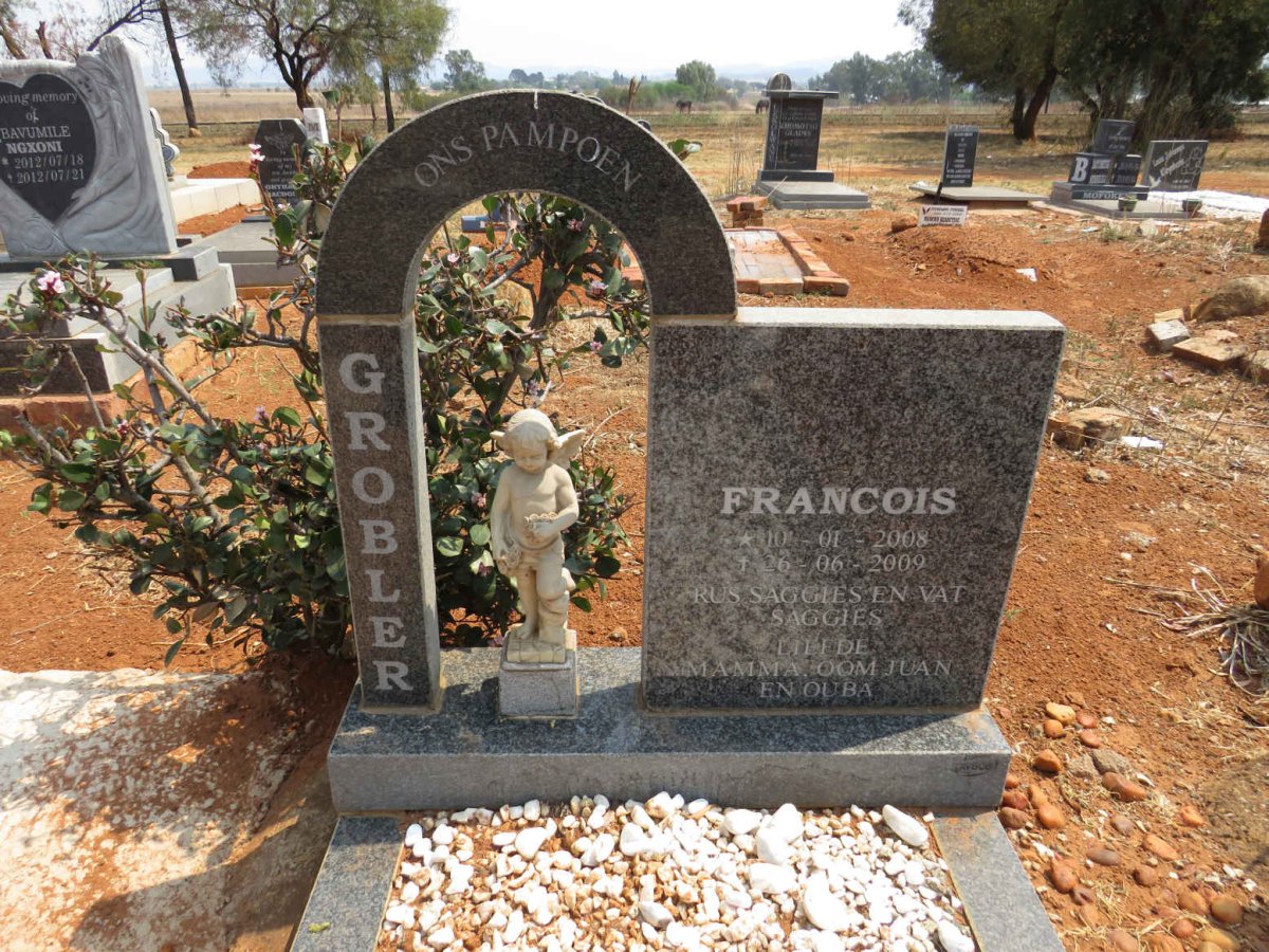 GROBLER Francois 2008-2009