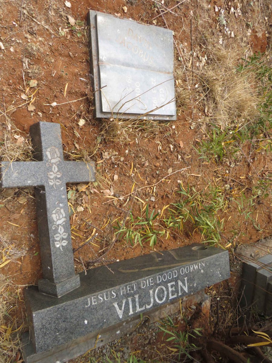 VILJOEN David Jacobus 1920-1985 _1