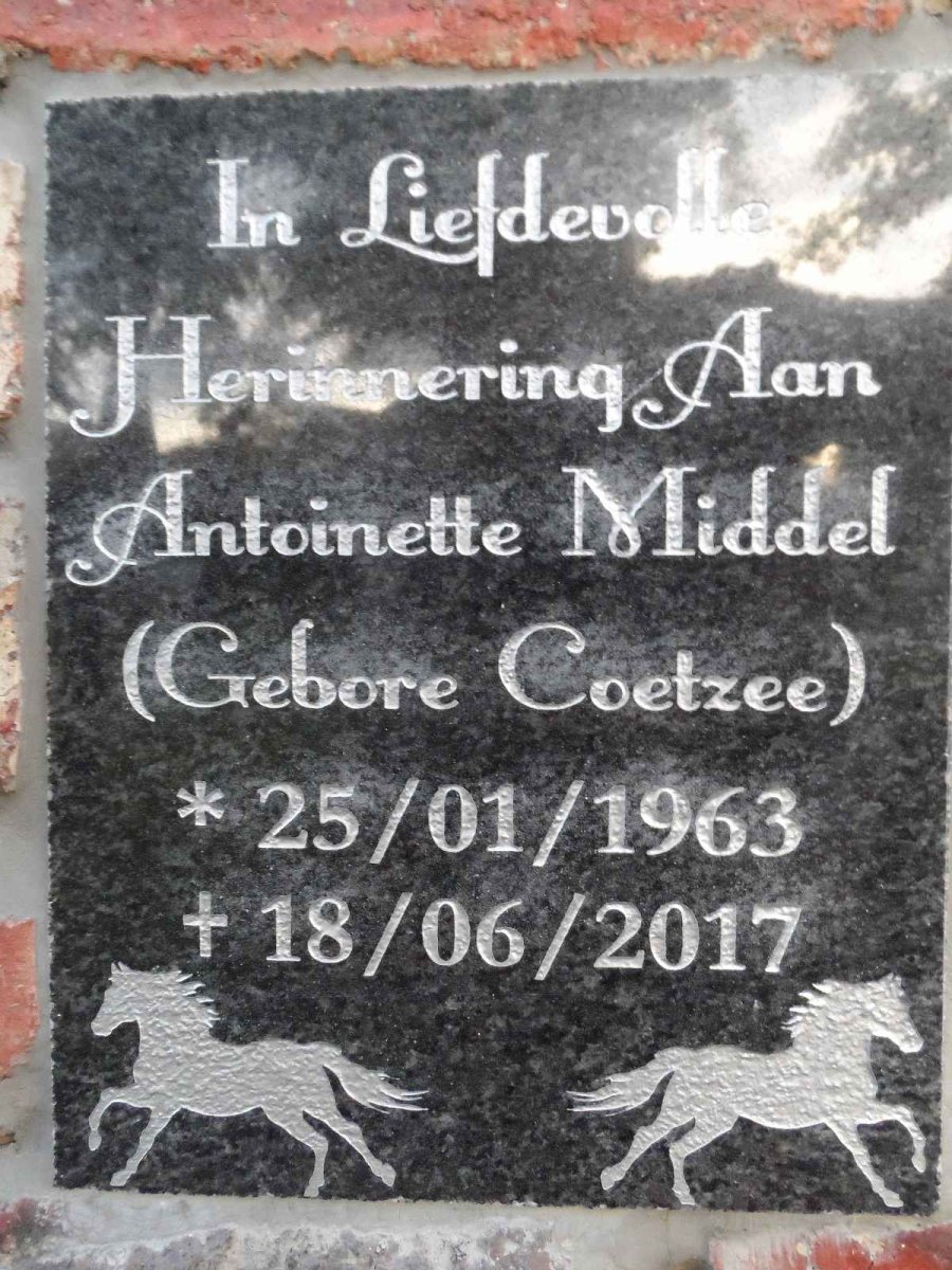 MIDDEL Antoinette nee COETZEE 1963-2017
