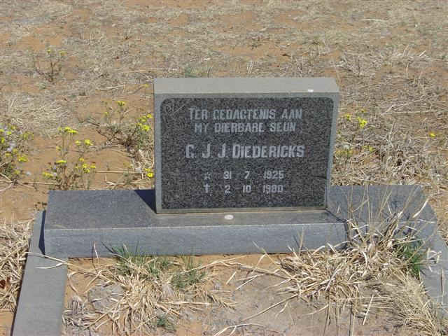 DIEDERICKS G.J.J. 1925-1980