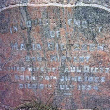 DIETZSCH Paul 1853-1935 &amp; Maria RIPPERT 1865-1934