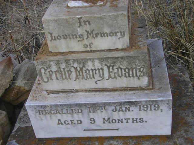 EVANS Cerile Mary -1919