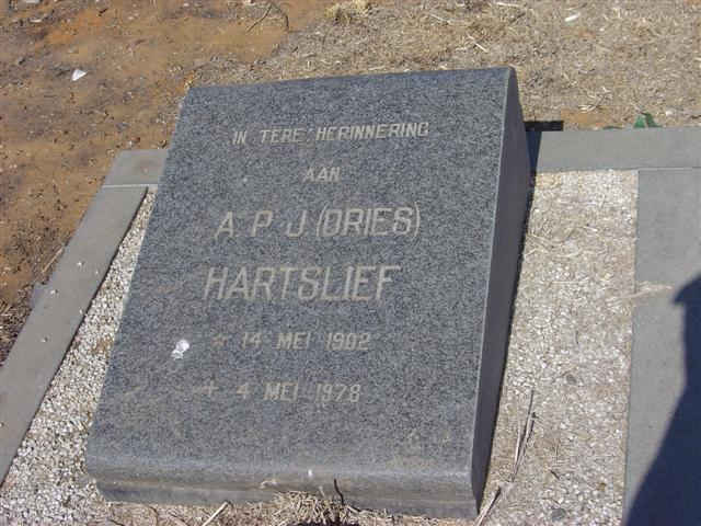HARTSLIEF A.P.J. 1902-1978