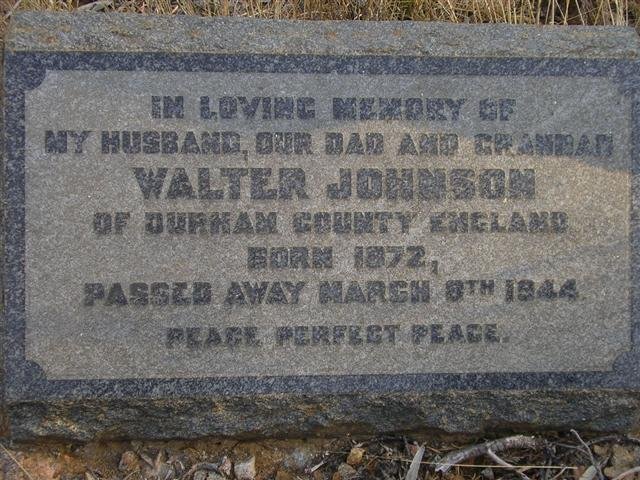 JOHNSON Walter 1872-1944