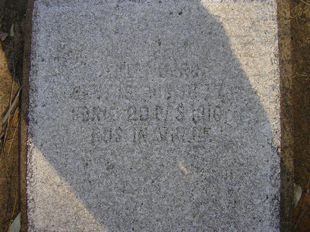 STEENBERG P? 1877-1916