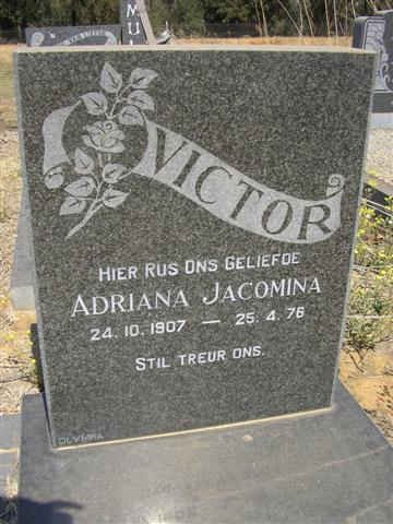 VICTOR Adriana Jacomina 1907-1976
