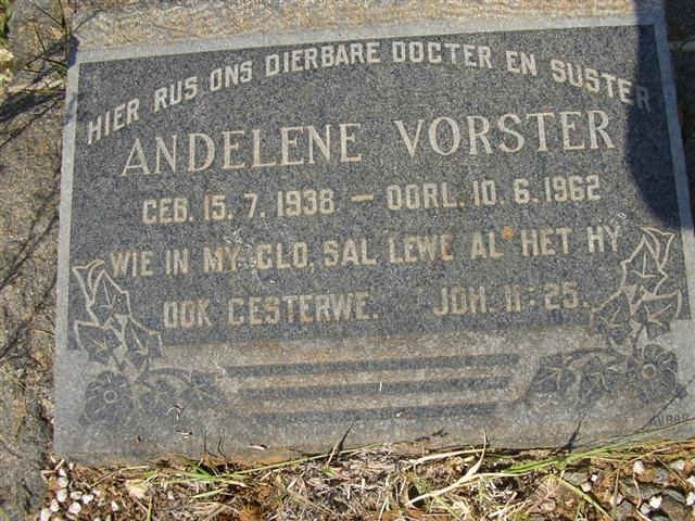 VORSTER Andelene 1938-1962