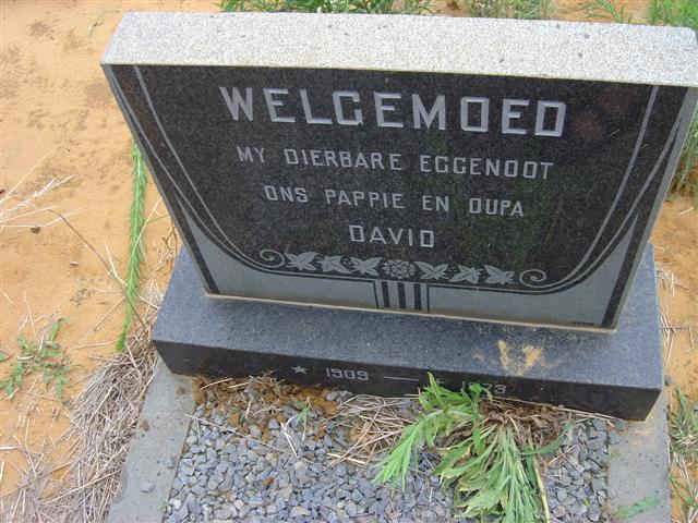 WELGEMOED David 1909-1973