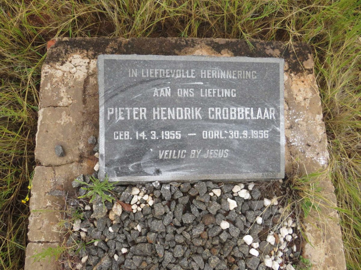 GROBBELAAR Pieter Hendrik 1955-1956
