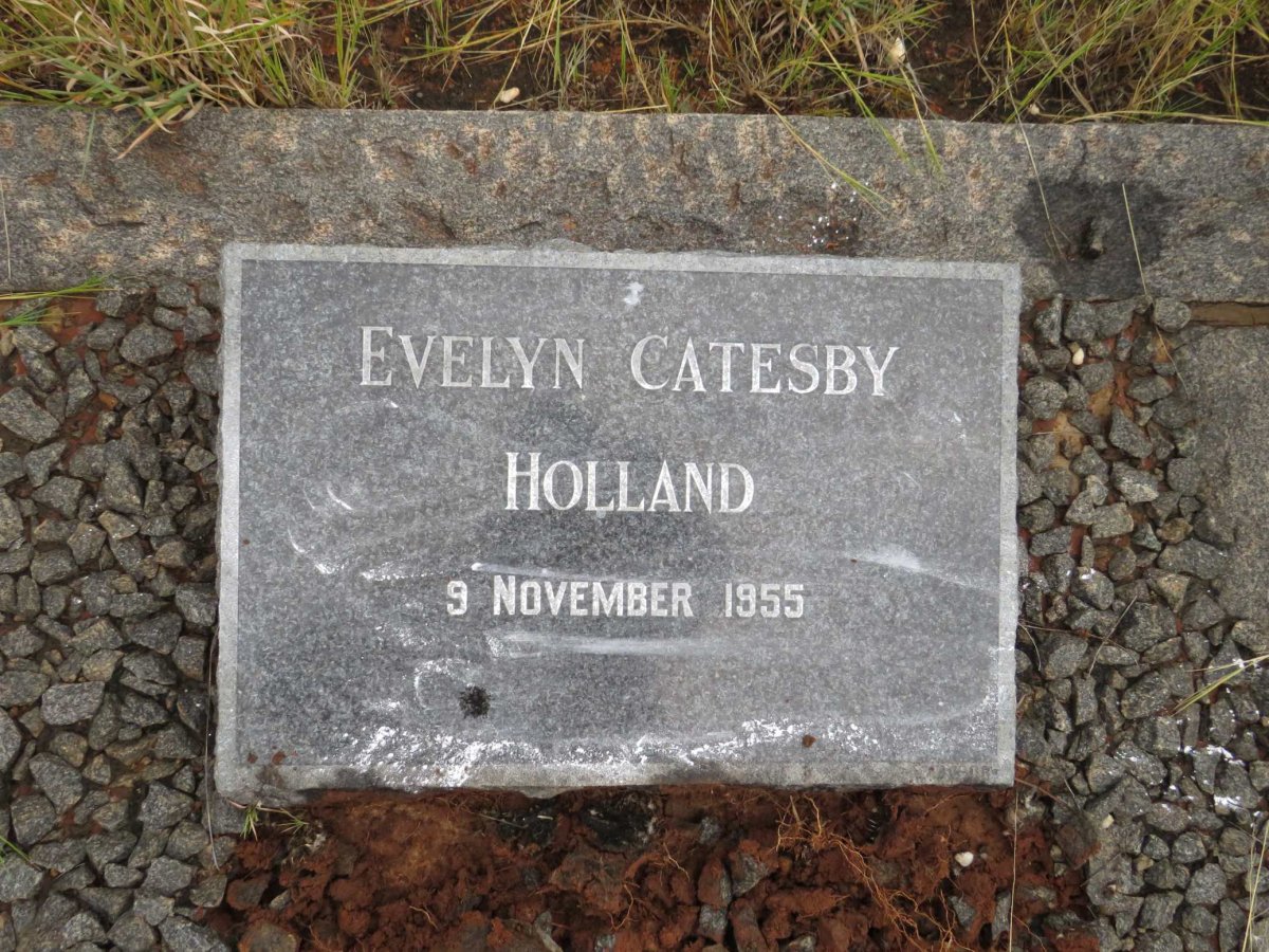 HOLLAND Evelyn Catesby -1955